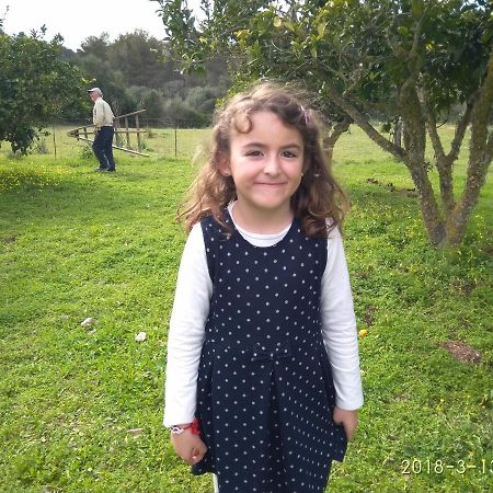 Agroturismo Sa Vall Son Macià Exterior foto